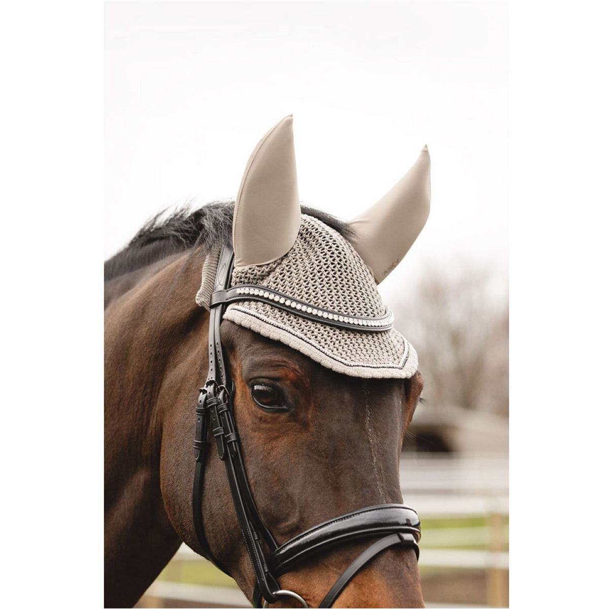 ANKY Oornetje ATB25007 3C Moon Rock