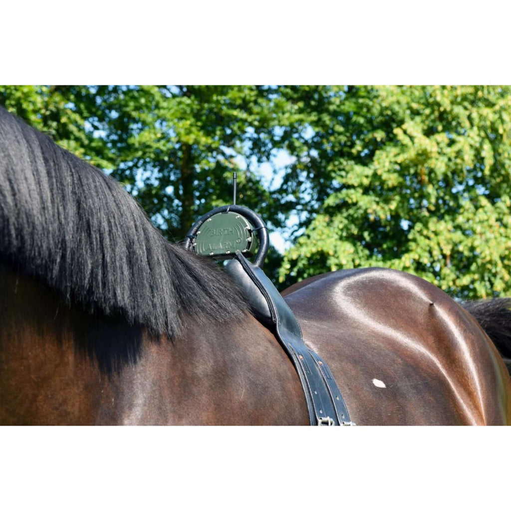 Birth Alarm Classic Compleet incl. Anti-Rolsingel