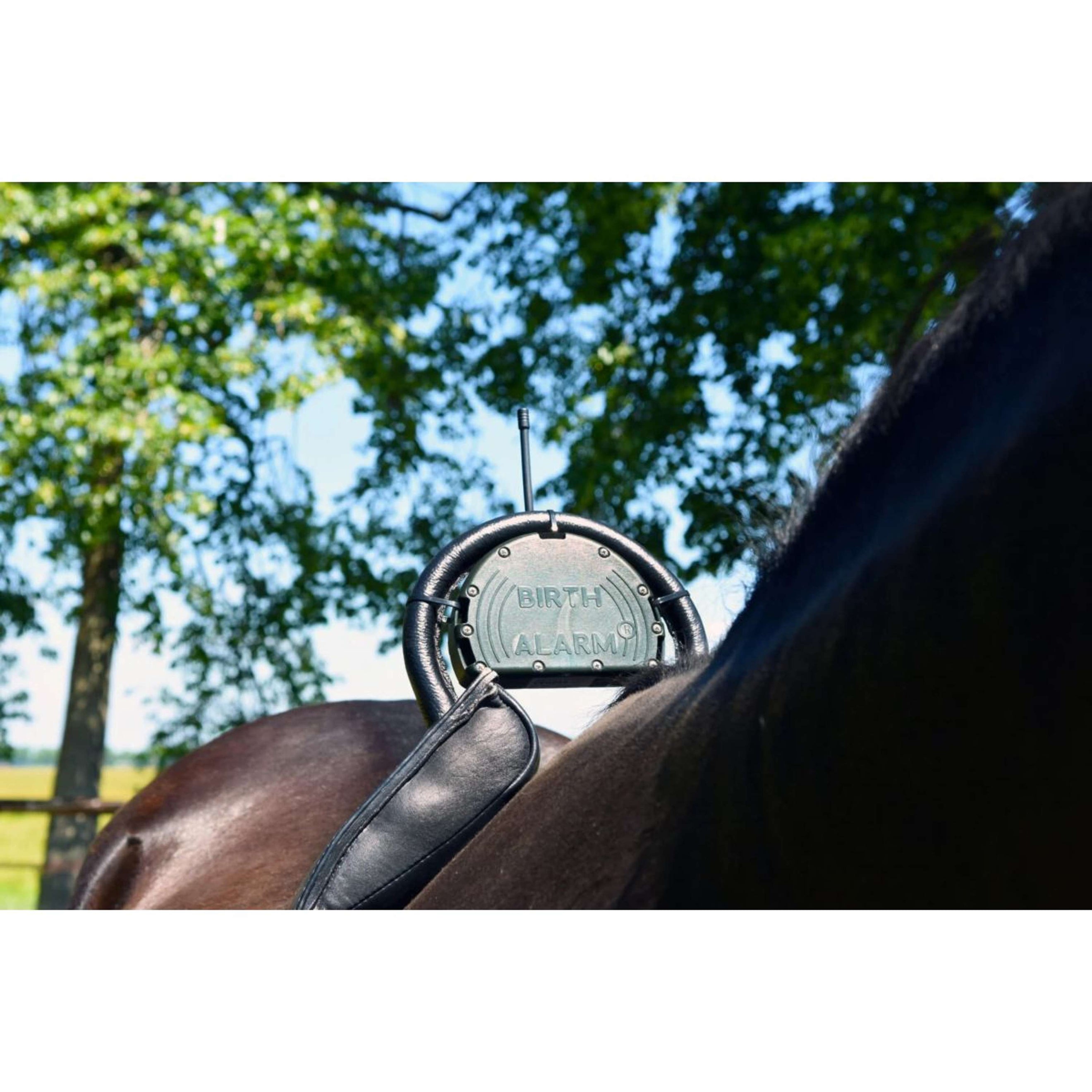 Birth Alarm Classic Compleet incl. Anti-Rolsingel Birth Alarm Classic Compleet incl. Anti-Rolsingel