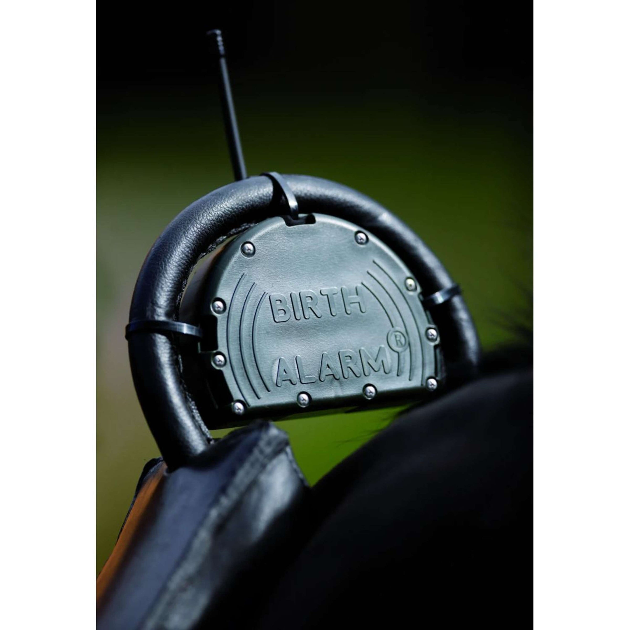 Birth Alarm Classic Birth Alarm Classic