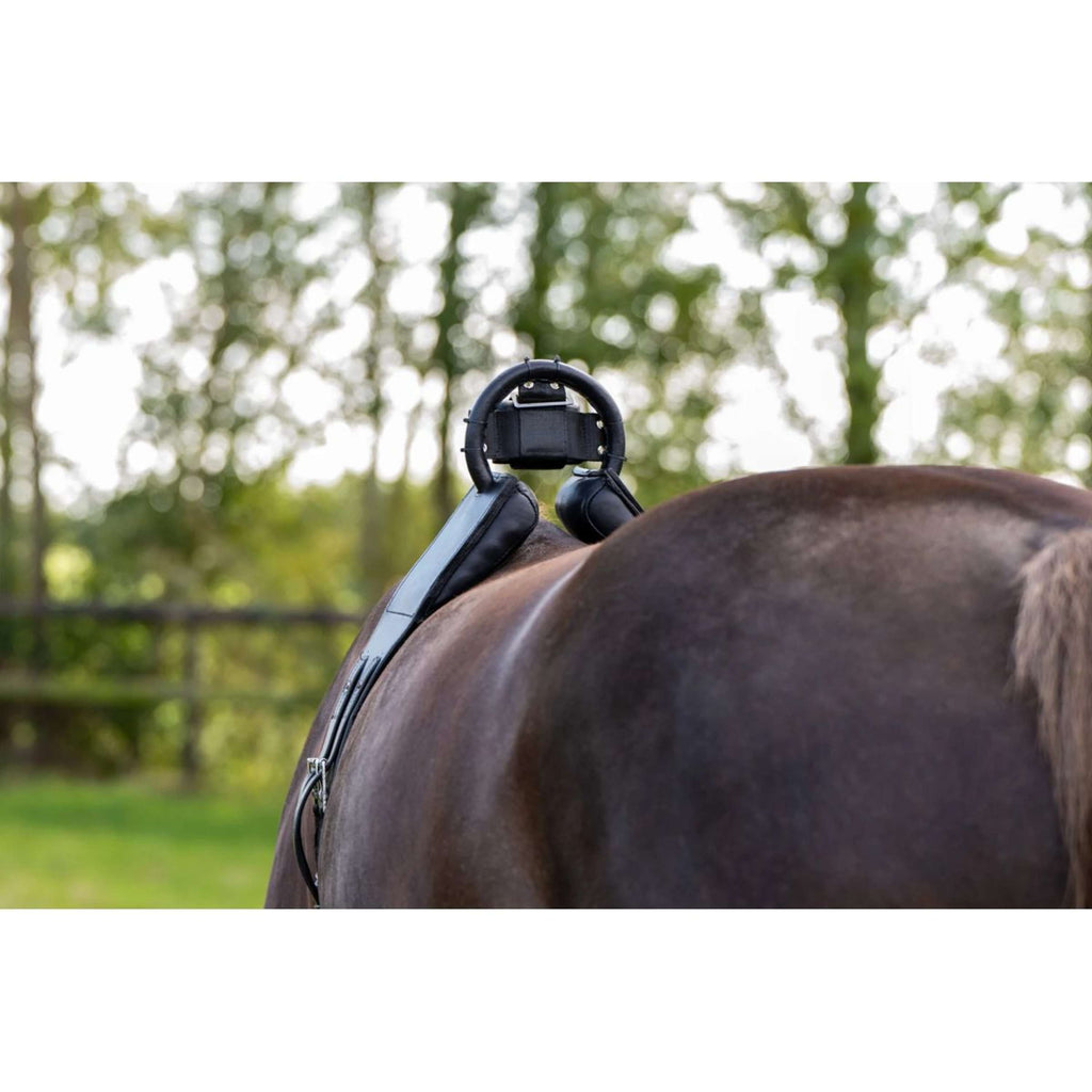 Birth Alarm Anti-Rolsingel Compleet