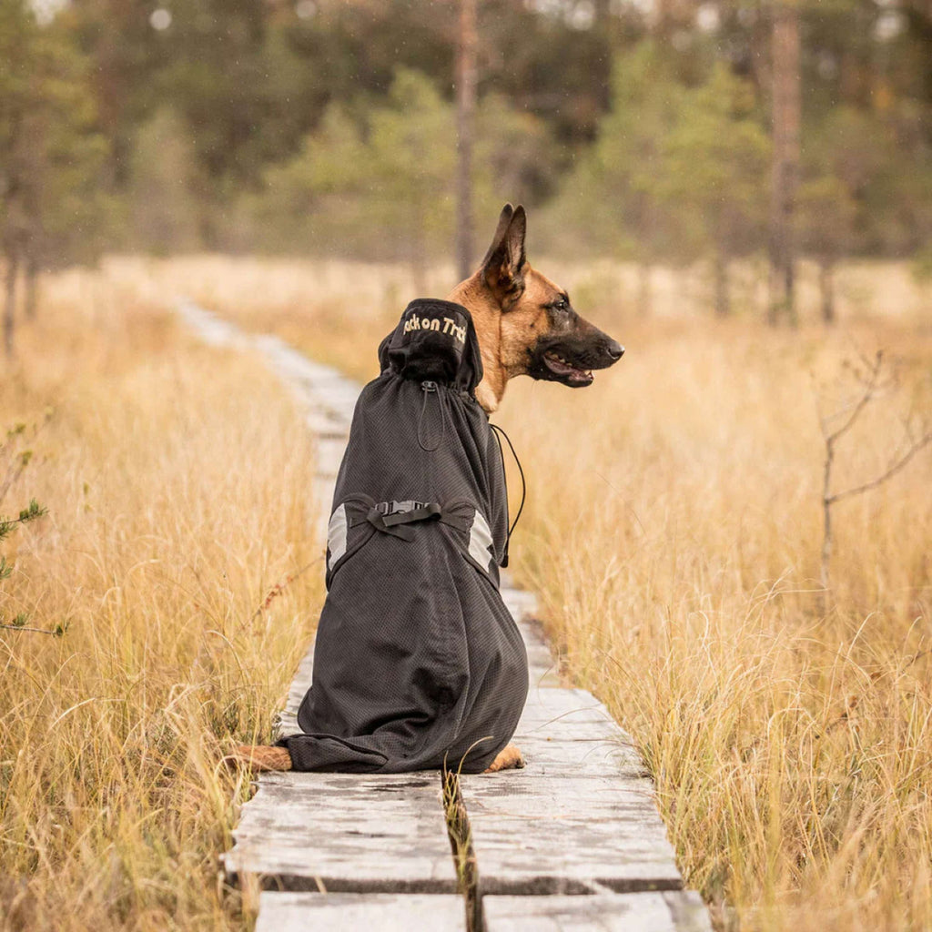 Back on Track Honden Maasdeken Zwart