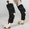 Back on Track Spronggewricht Beschermer Dixie Hond Zwart.