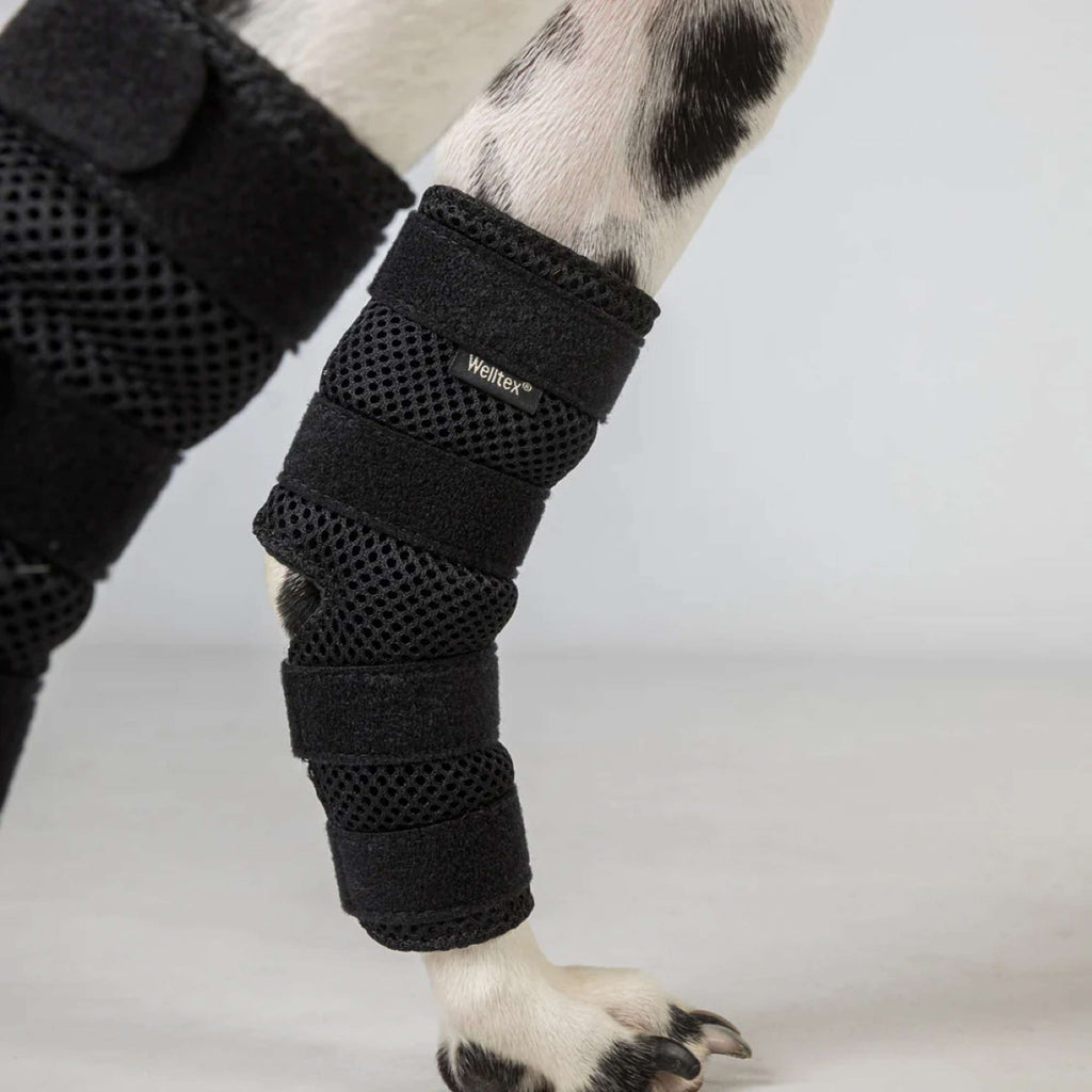 Back on Track Spronggewricht Beschermer Dixie Hond Zwart.