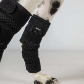 Back on Track Spronggewricht Beschermer Dixie Hond Zwart.