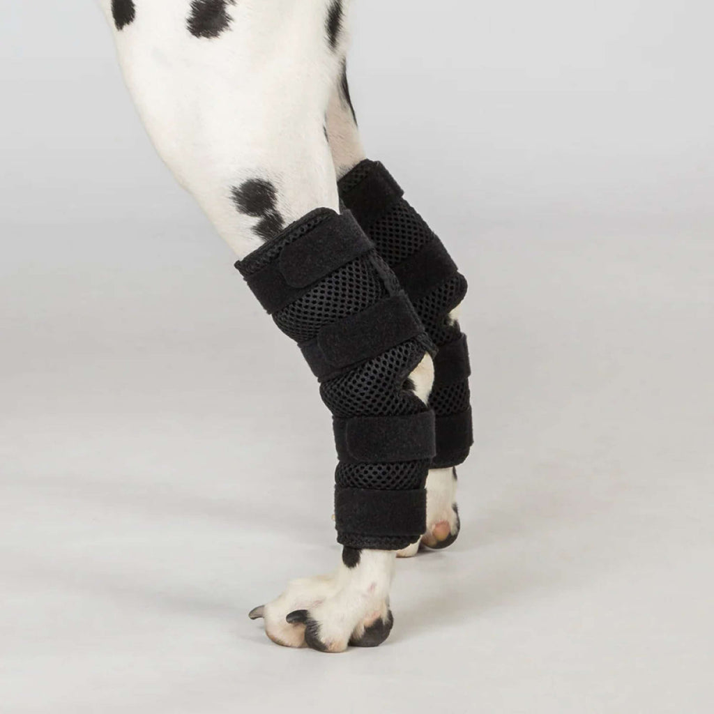 Back on Track Spronggewricht Beschermer Dixie Hond Zwart.