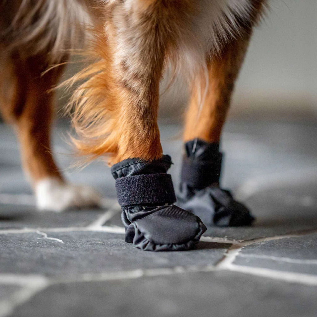 Back on Track Hondenschoenen Koda Zwart.