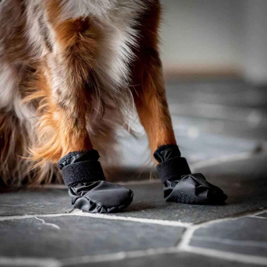 Back on Track Hondenschoenen Koda Zwart.