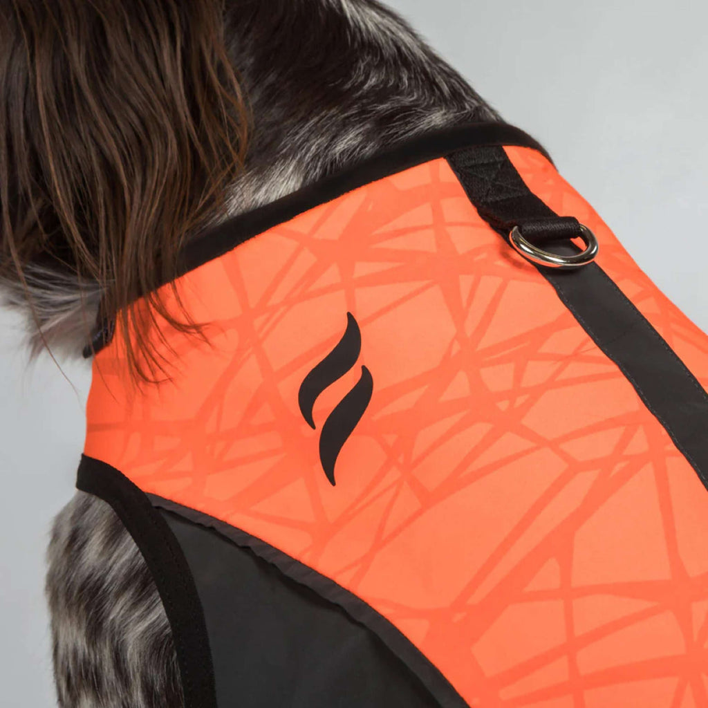 Back on Track Hondenjas TRAKK Reflecterend Oranje
