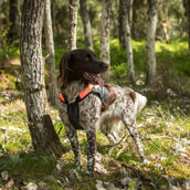Back on Track Hondenjas TRAKK Reflecterend Oranje