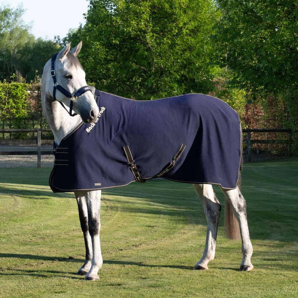 Back On Track Cooler Quick Blauw