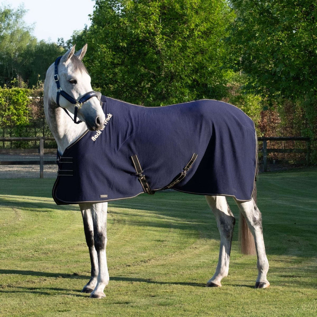 Back On Track Cooler Quick Blauw