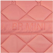 BR Zadeldekje Mini Horse Peach Blossom