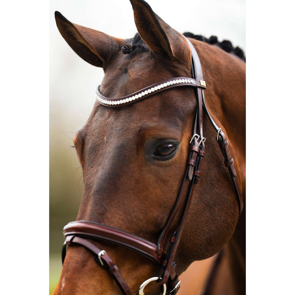 BR Hoofdstel Shildon Oak/Zilver