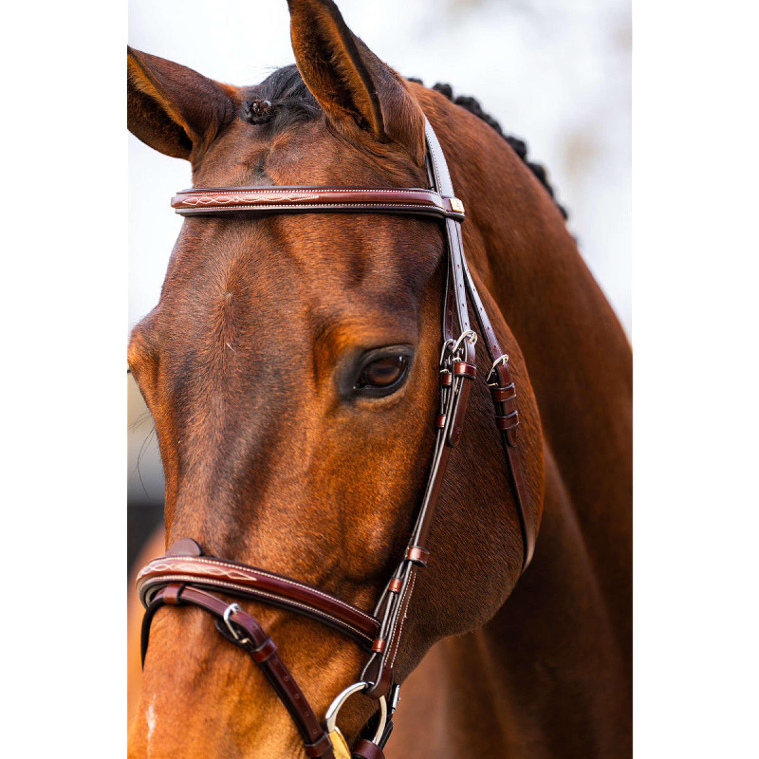 BR Hoofdstel Sunderland Oak/Zilver
