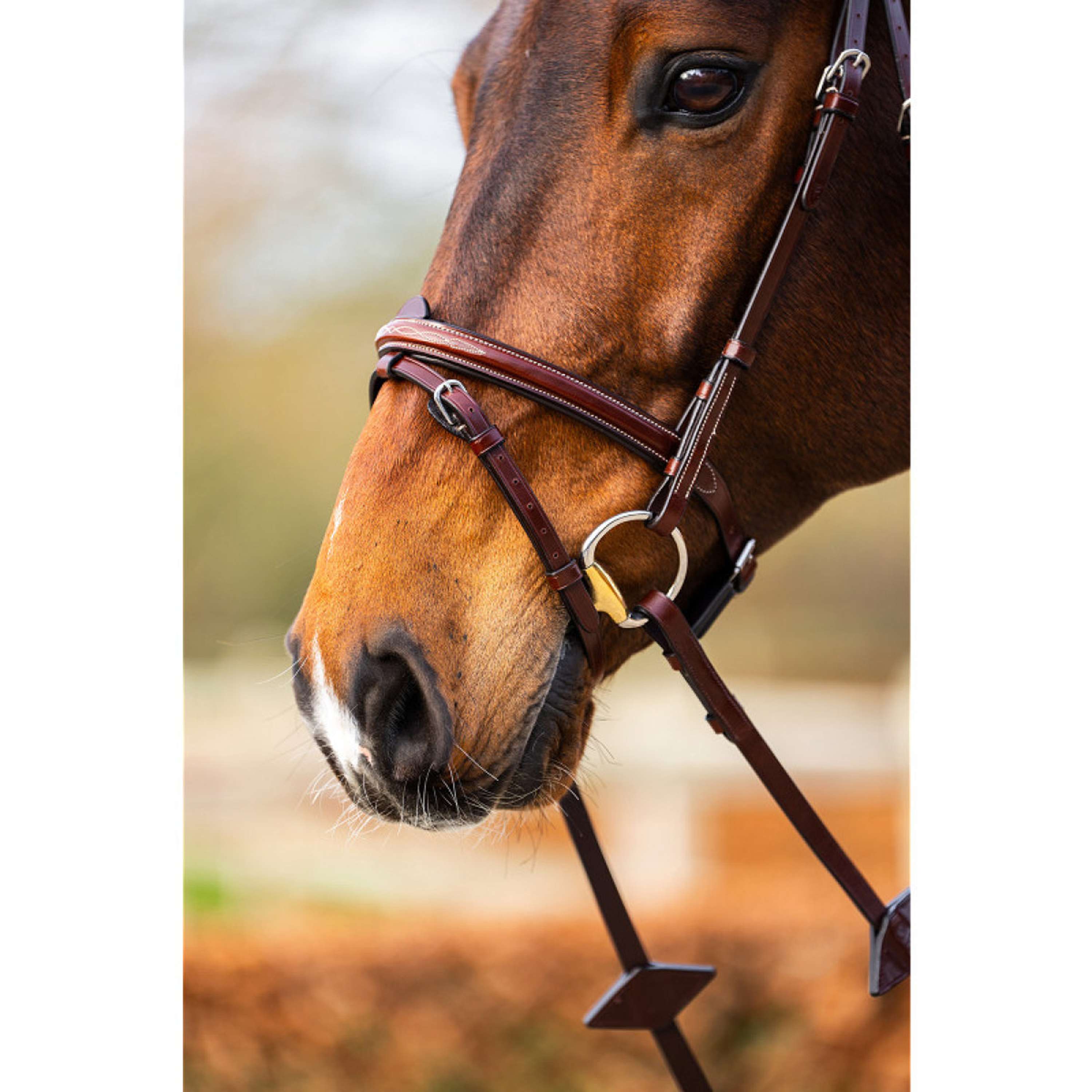 BR Hoofdstel Sunderland Oak/Zilver