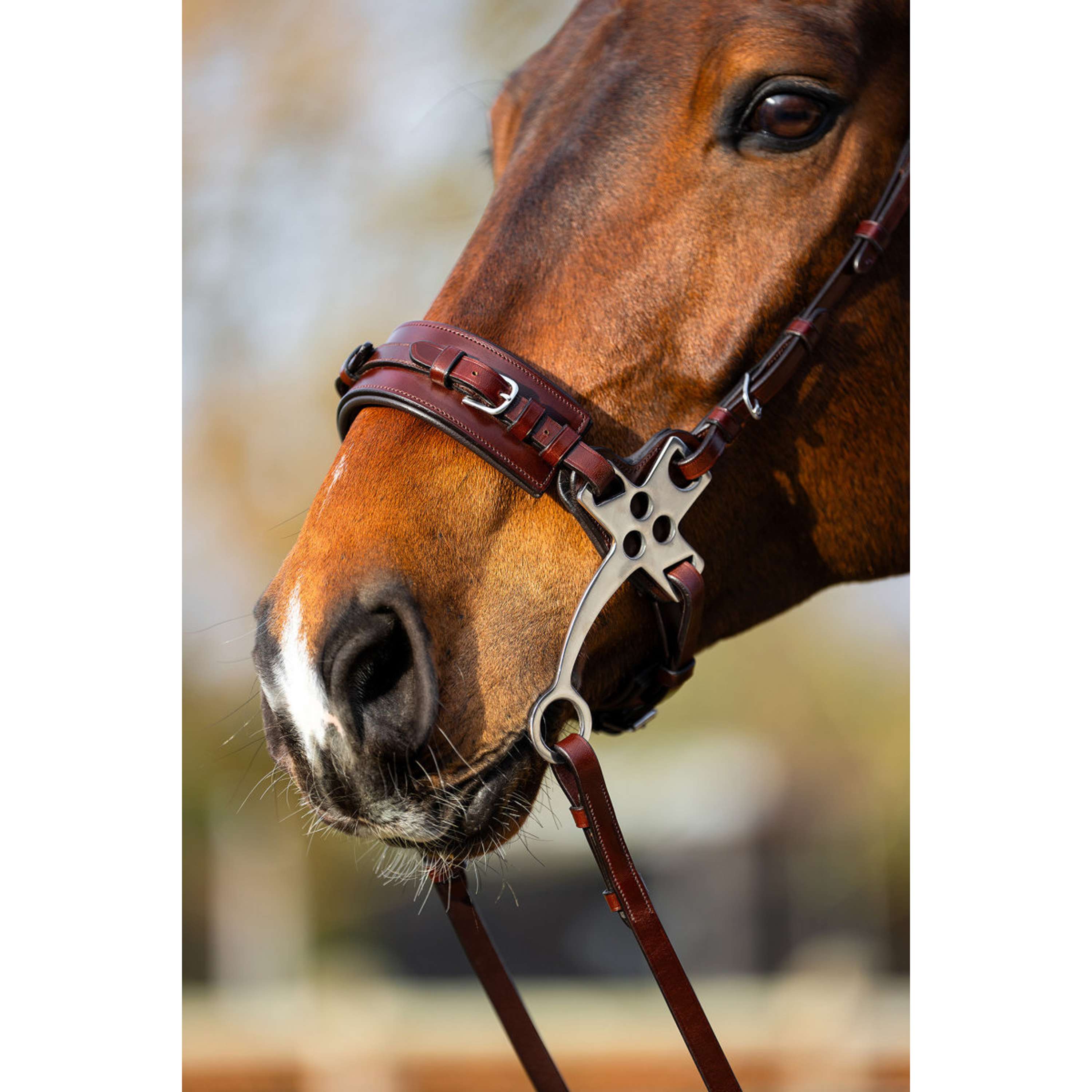 BR Hackamore Thornbury Oak/Zilver