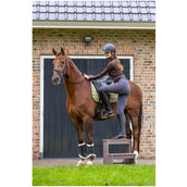 BR Cap Omega painted Zwart/Chroom