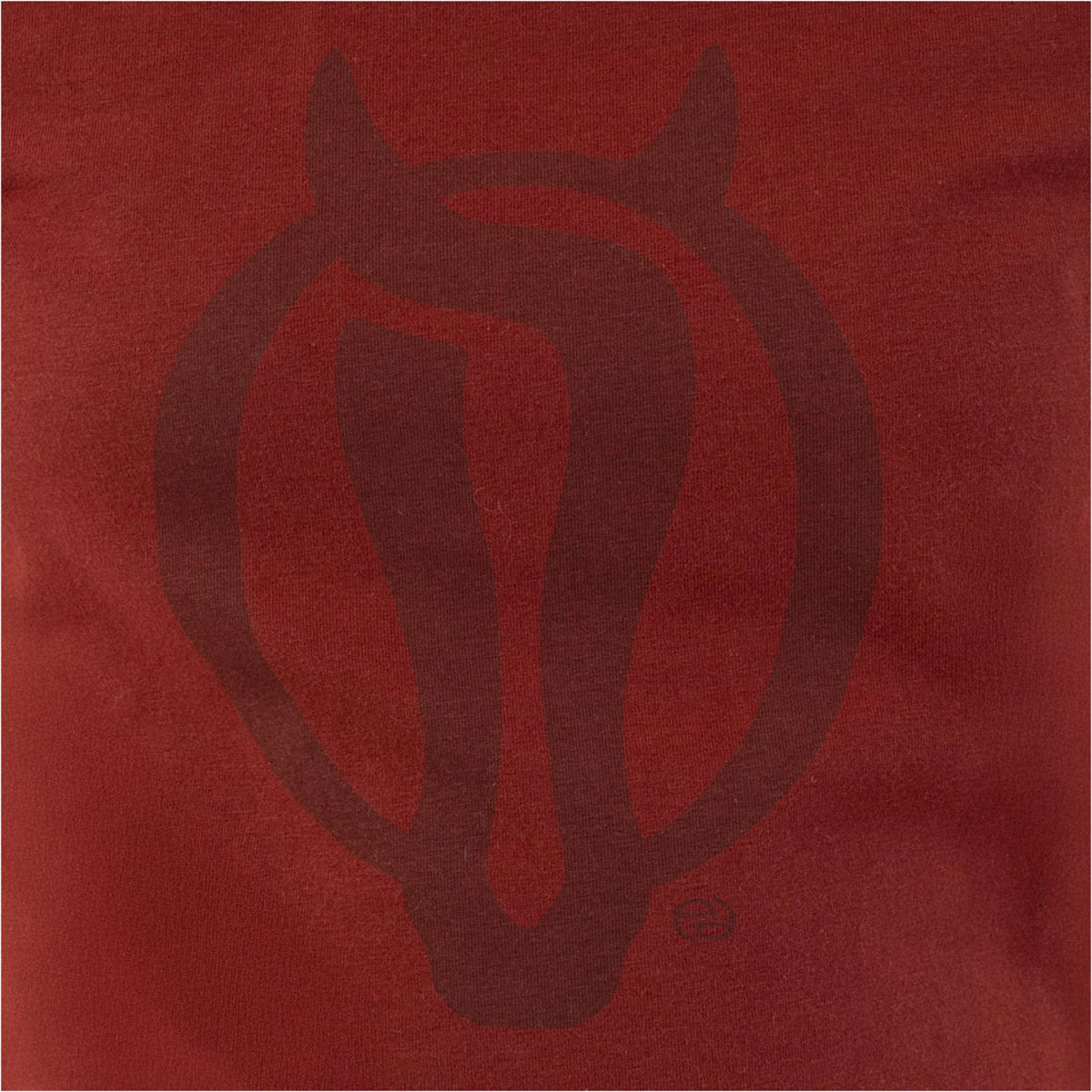 BR T-Shirt Eevolv Krijn Kids New Maroon