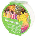 Likit Liksteen Rond Pineapple