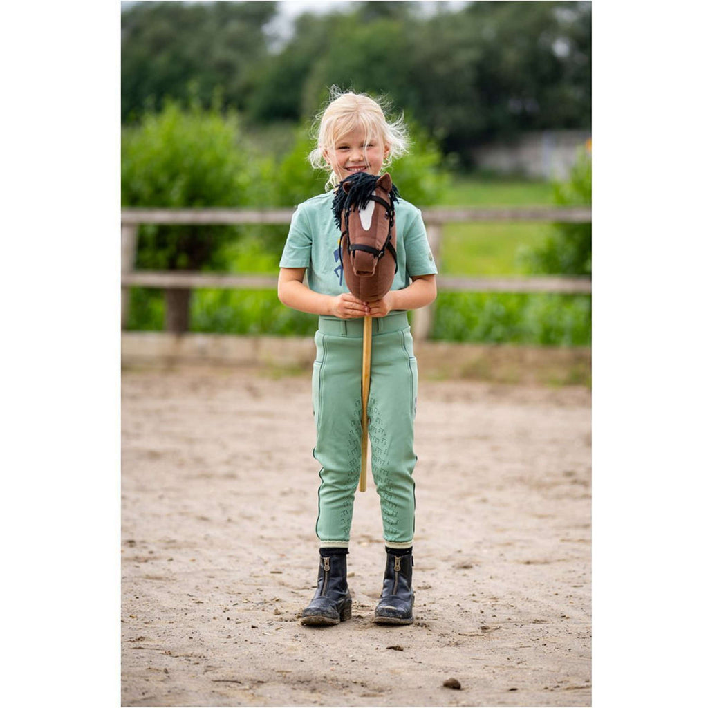 BR Mini Horse Stokpaard Bruin