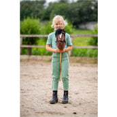BR Mini Horse Stokpaard Bruin