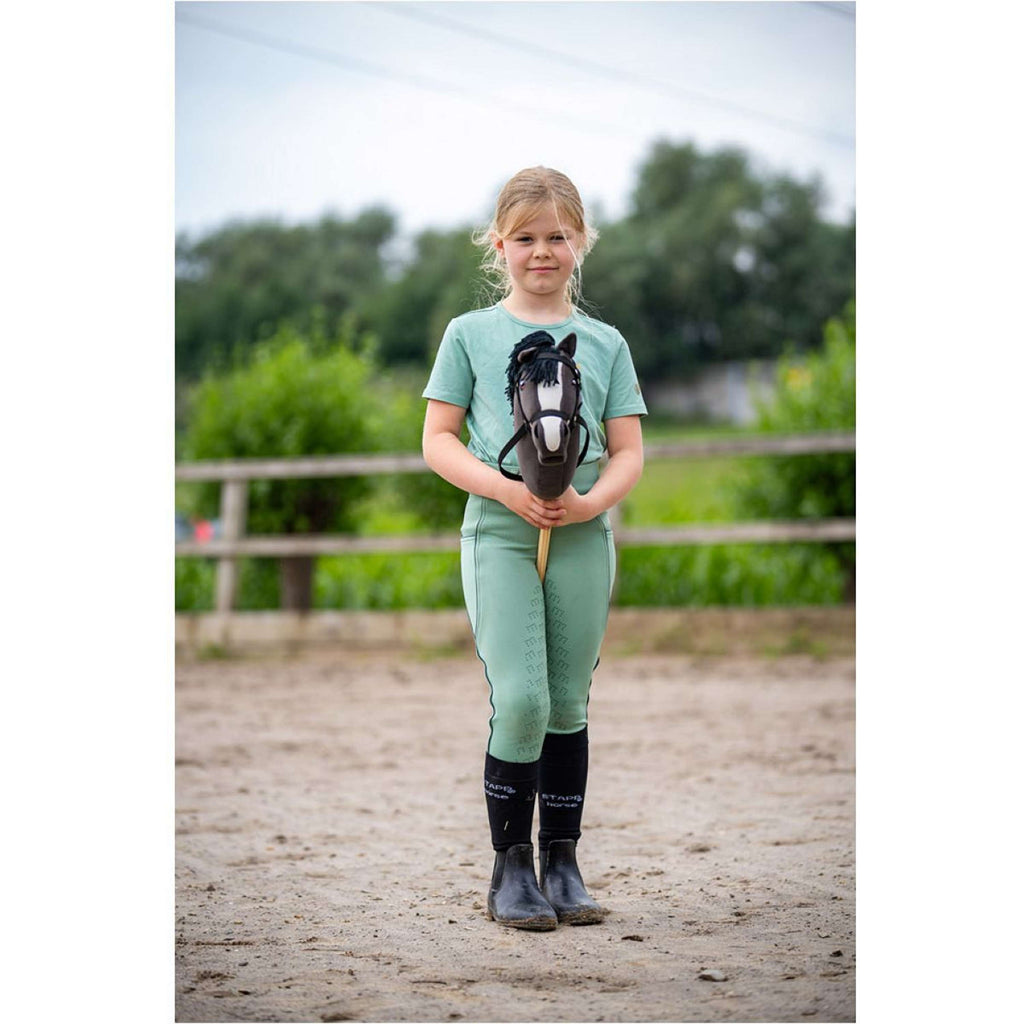 BR Mini Horse Stokpaard Zwart
