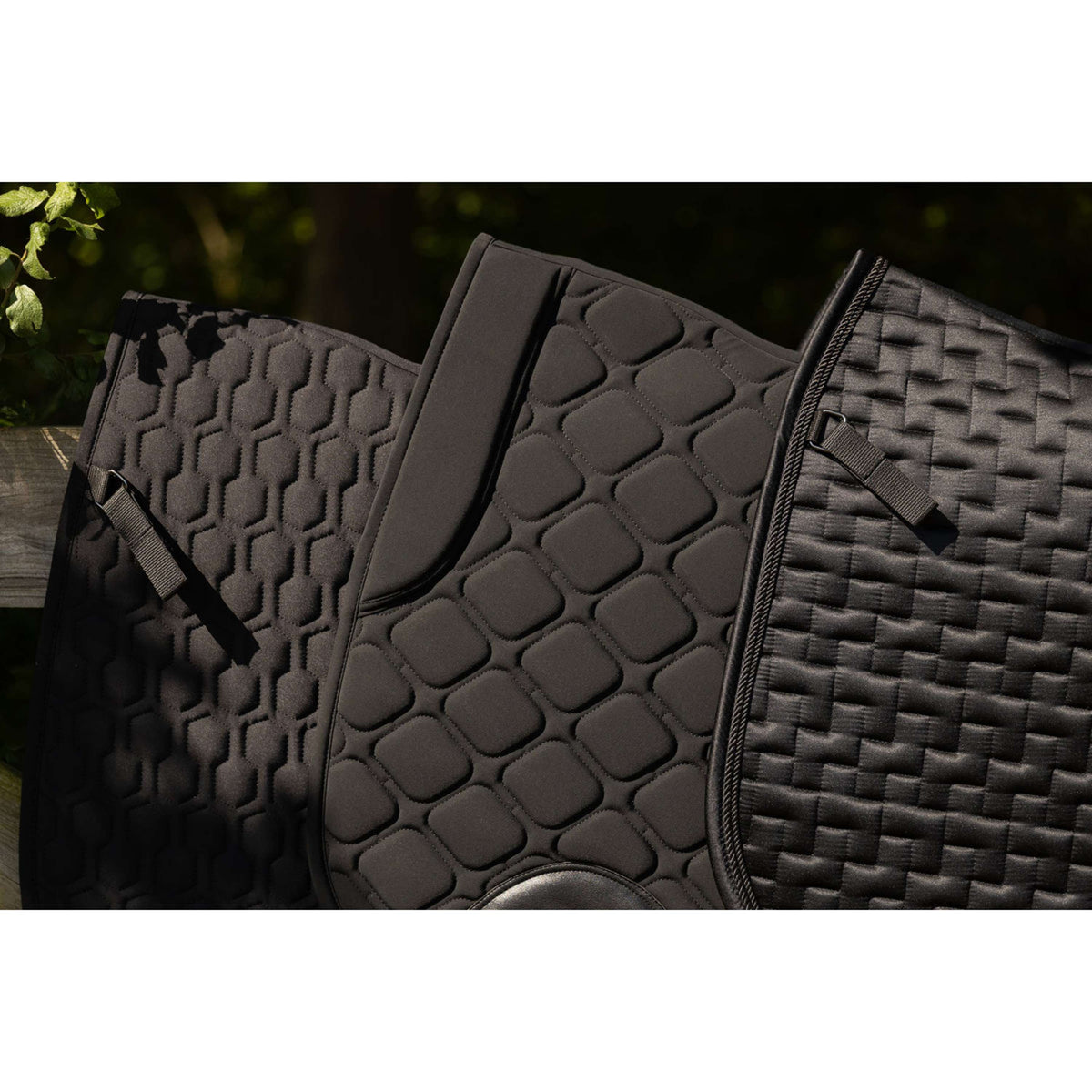 BR Zadeldekje Knox Springen Moonless Night