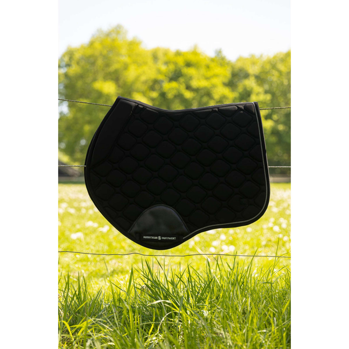 BR Zadeldekje Knox Springen Moonless Night