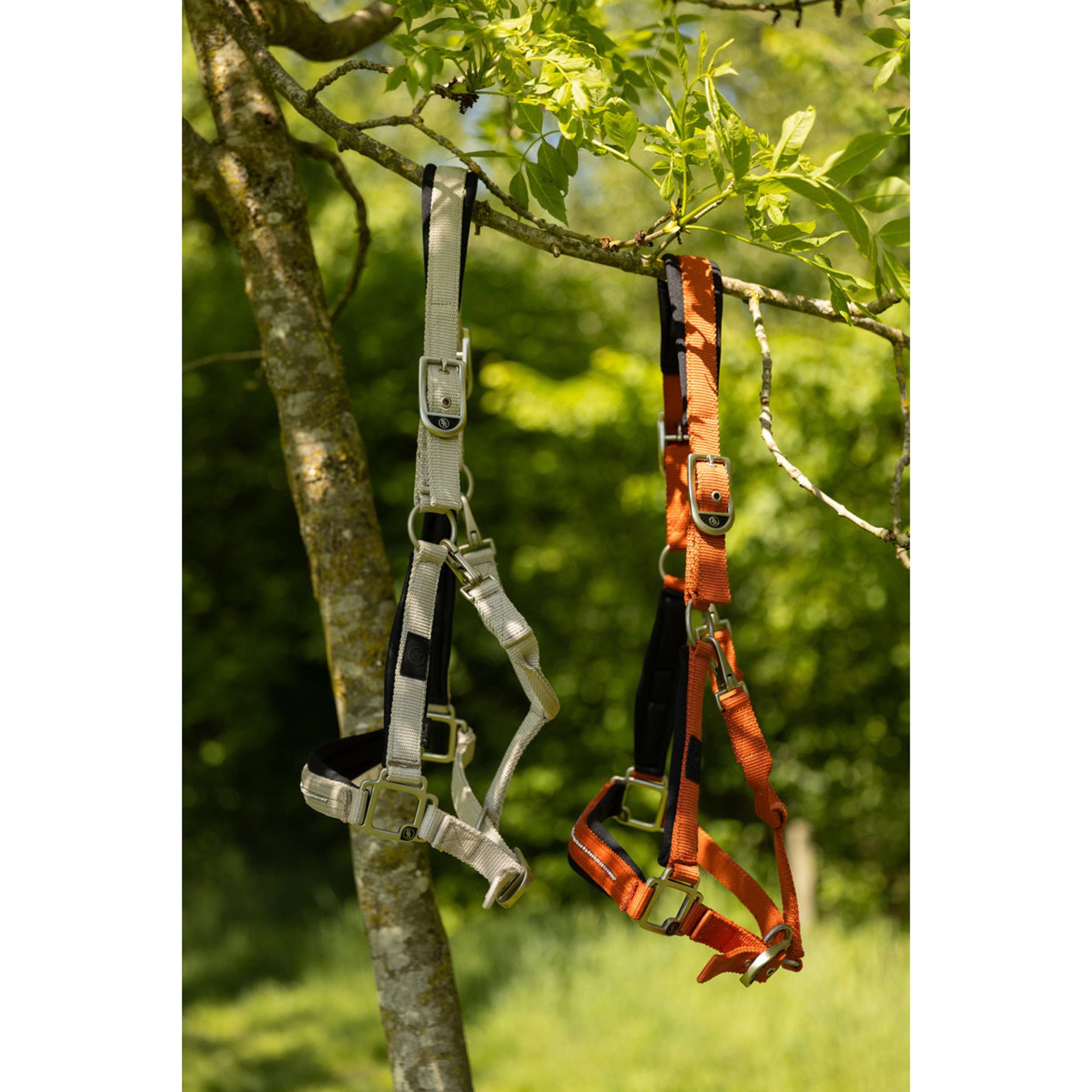 BR Halster Kimberly Neopreen Mecca Orange