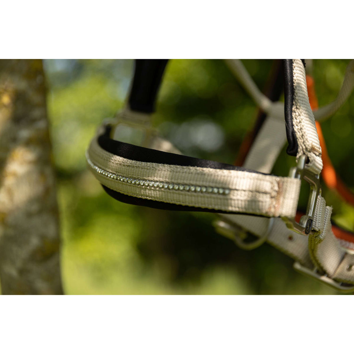 BR Halster Kimberly Neopreen Safari