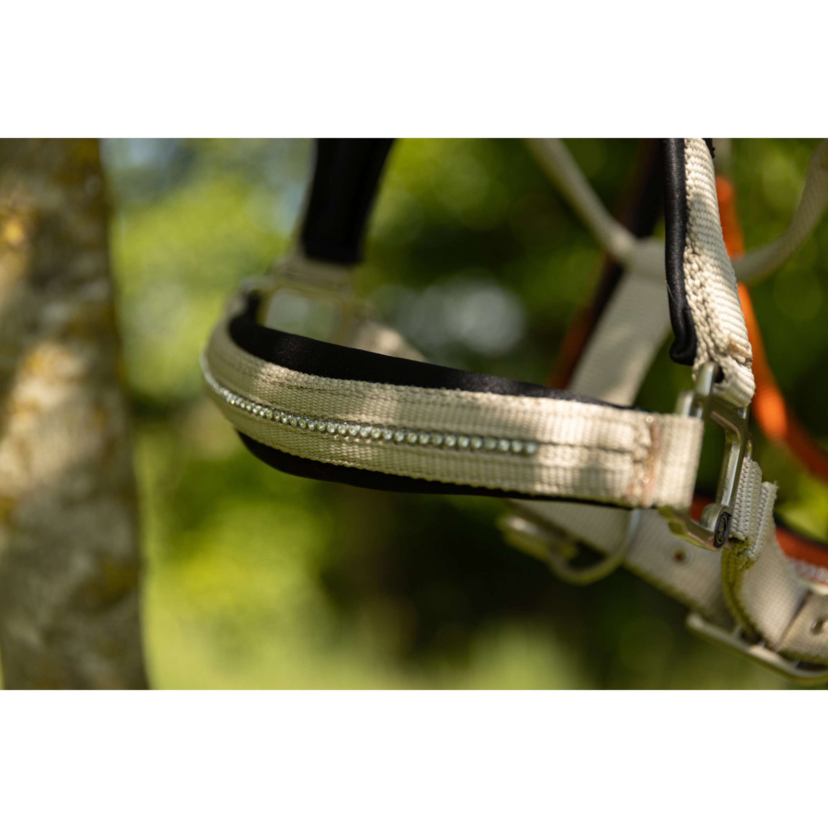 BR Halster Kimberly Neopreen Safari