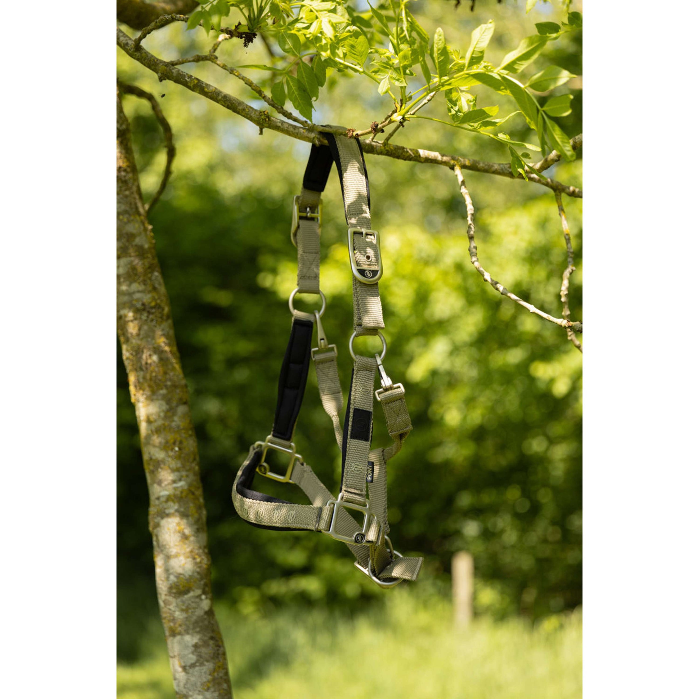 BR Halster Eevolv Karin Mermaid