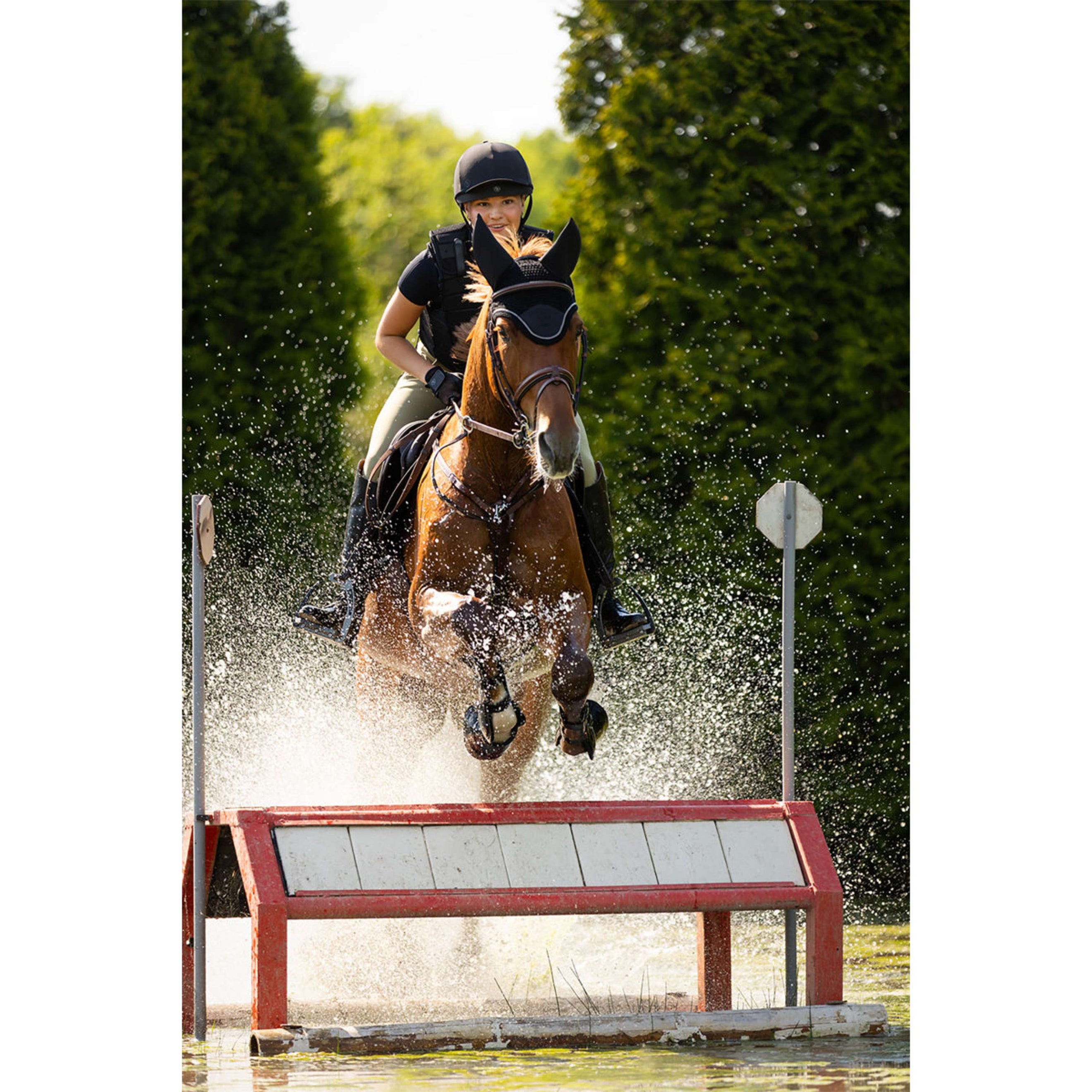 BR Oornetje Kyra Moonless Night