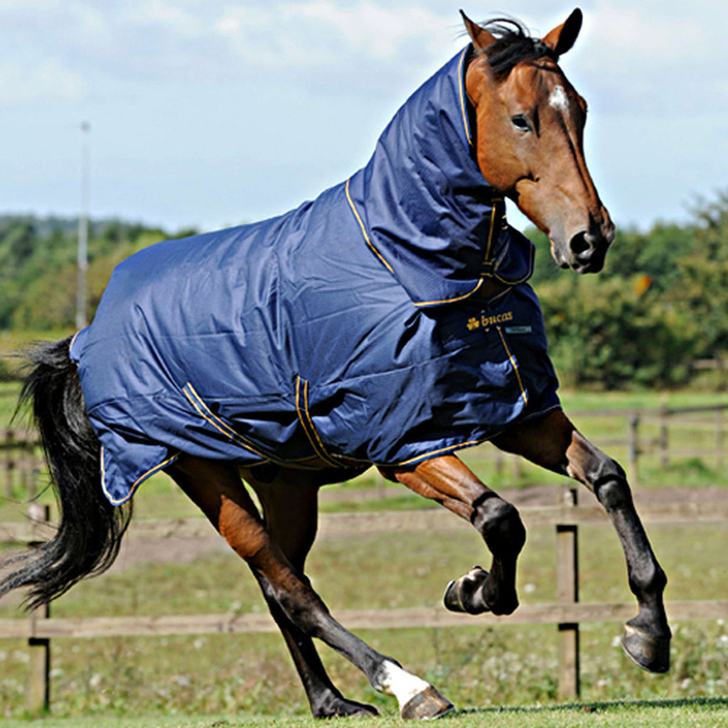Bucas Halsstuk Irish Turnout Combi Neck 50g Navy/Gold