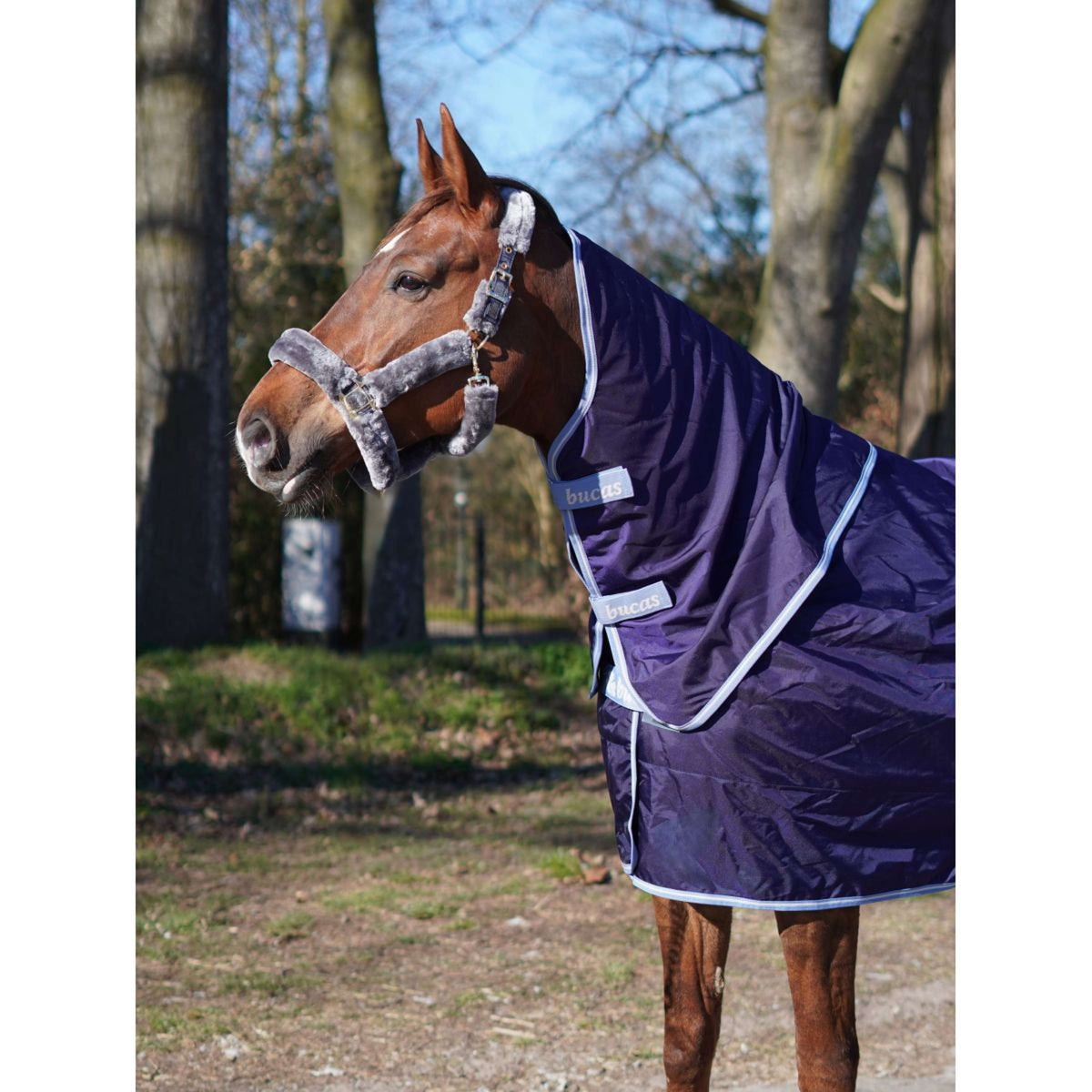 Bucas Atlantic Exclusive met Hals Navy/Blauw