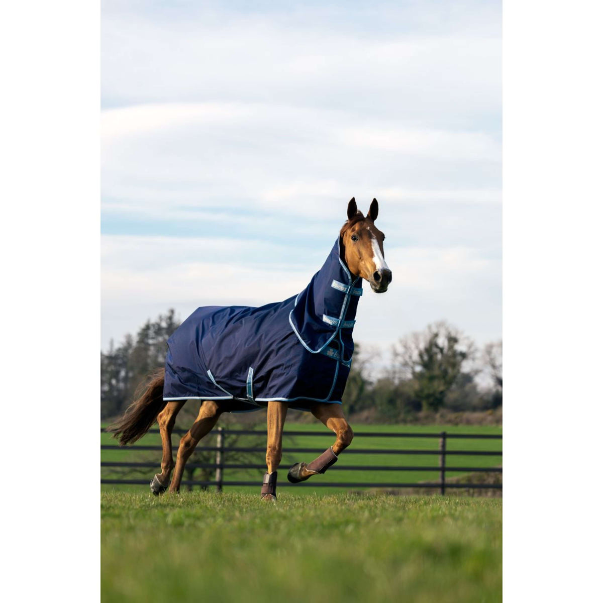 Bucas Atlantic Exclusive met Hals Navy/Blauw