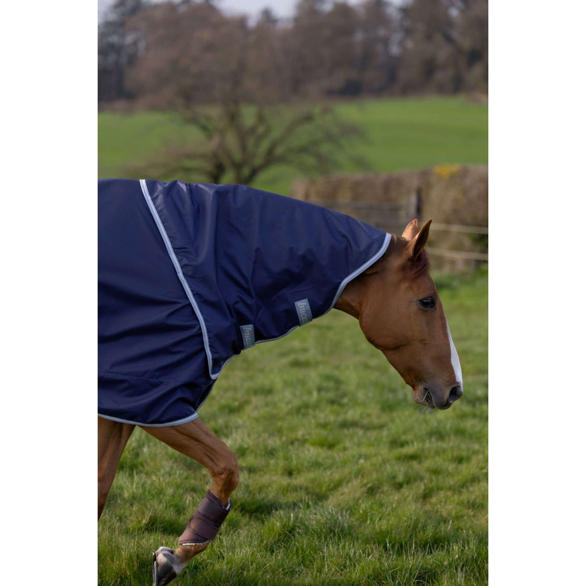 Bucas Atlantic Exclusive met Hals Navy/Blauw