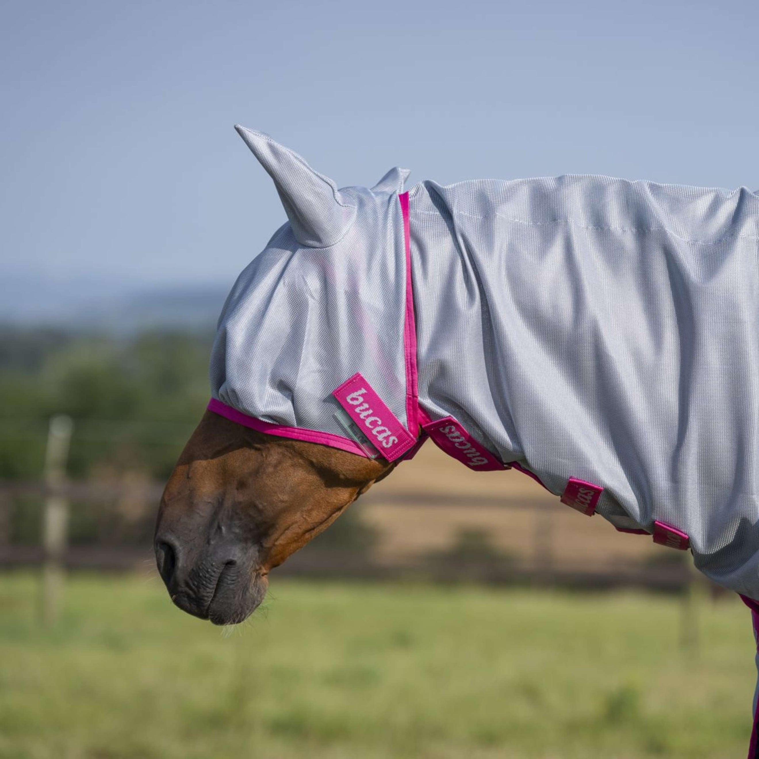 Bucas Buzz-Off Fly Mask Blue/Blossom