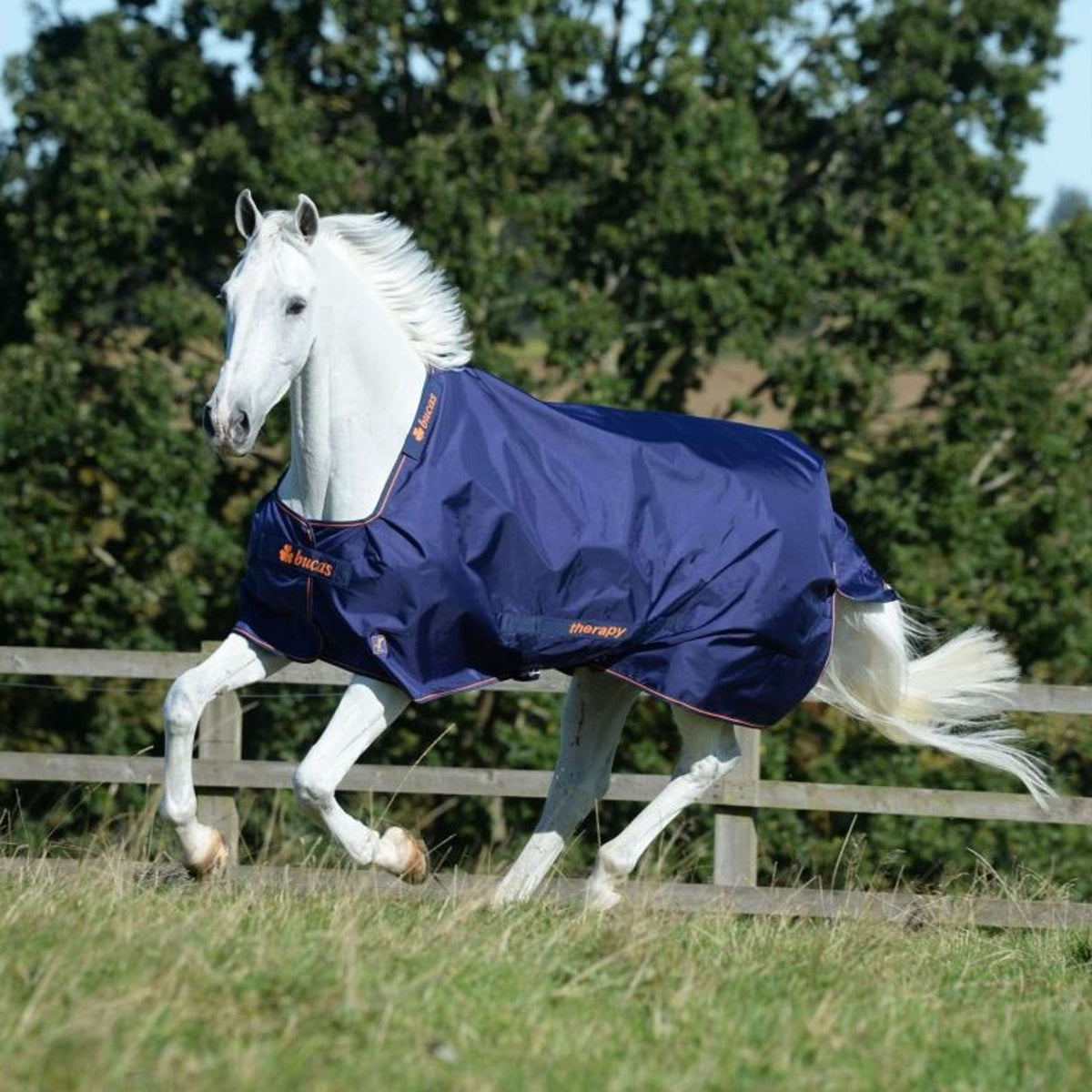 Bucas Therapy Turnout 150g Navy/Orange