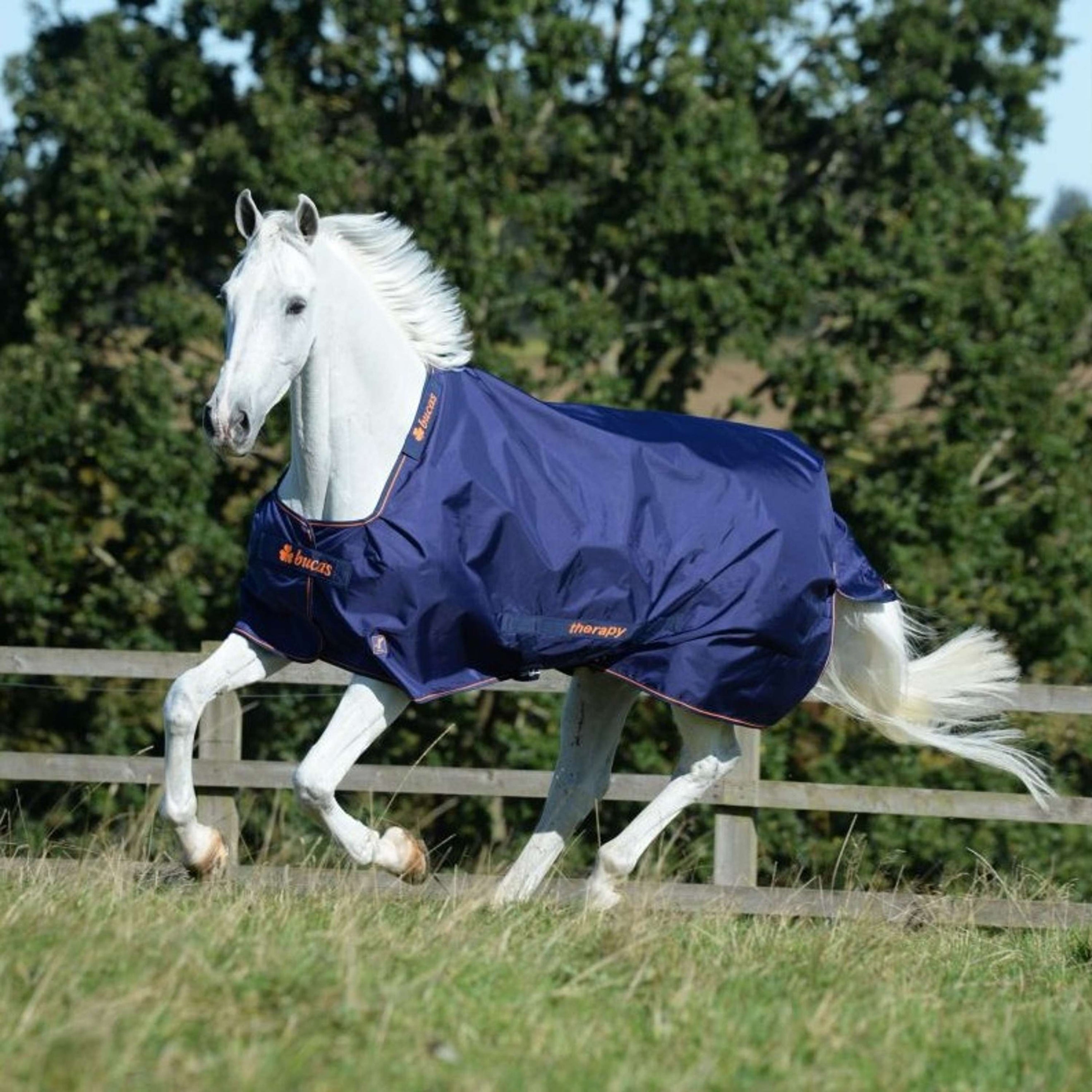 Bucas Therapy Turnout 150g Navy/Orange