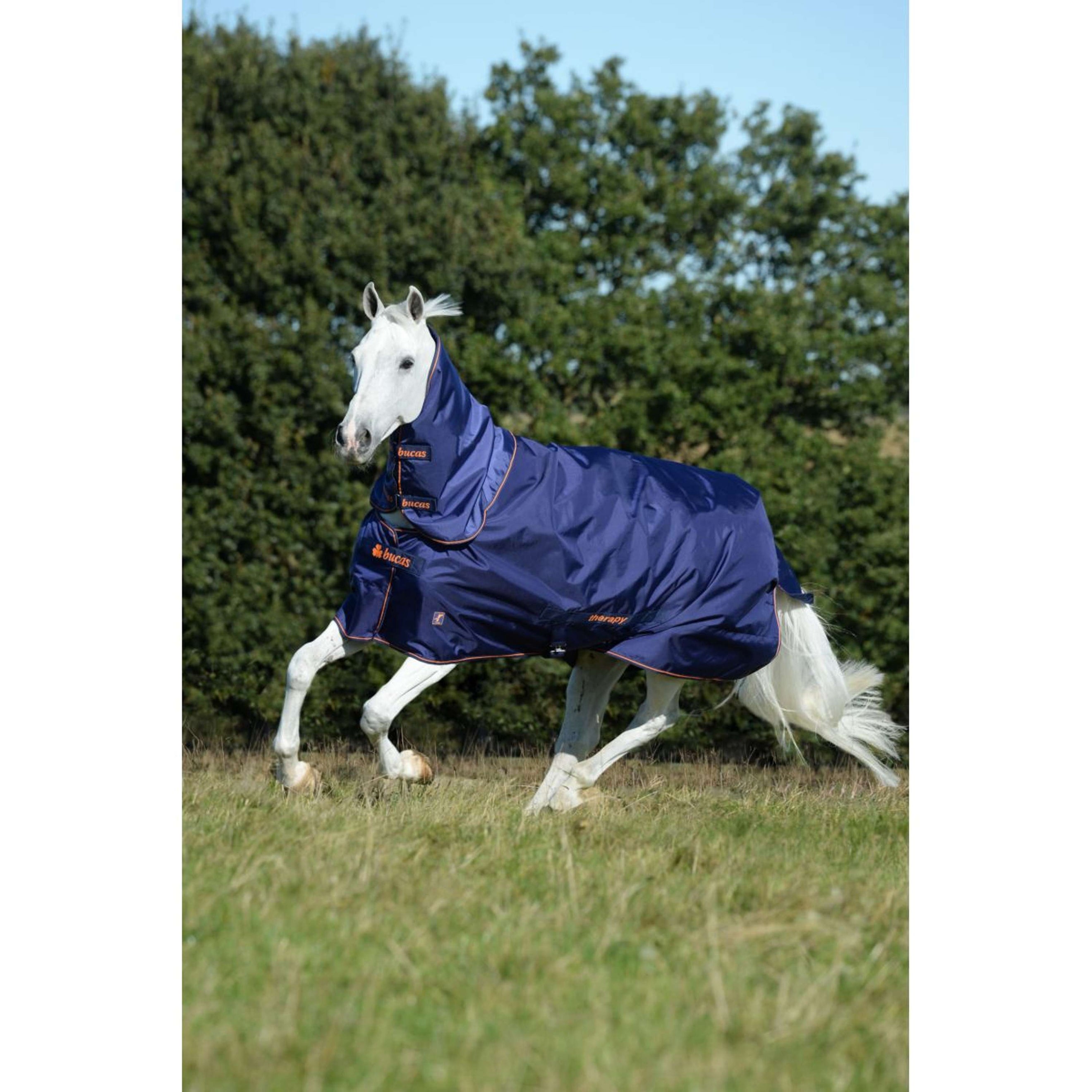 Bucas Therapy Turnout Neck Navy/Orange Bucas Therapy Turnout Neck Navy/Orange