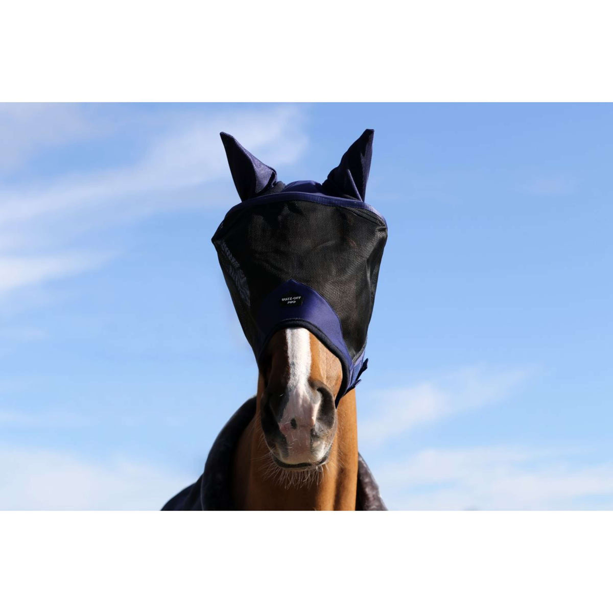 Buzz-Off X F/N Big Neck - Bucas Buzz-Off X F/N Big Neck - Bucas