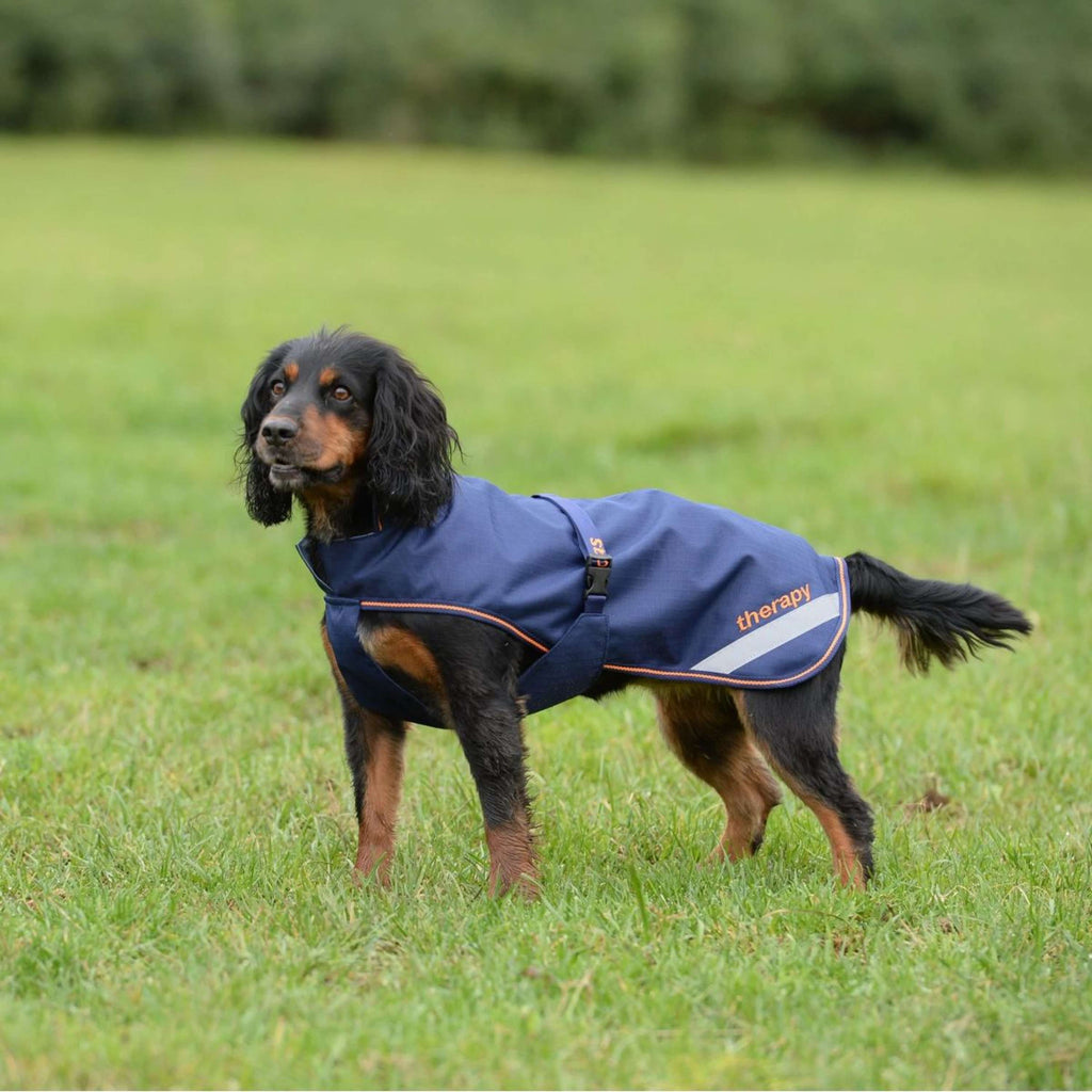 Bucas Therapy Dog Rug Navy/Orange