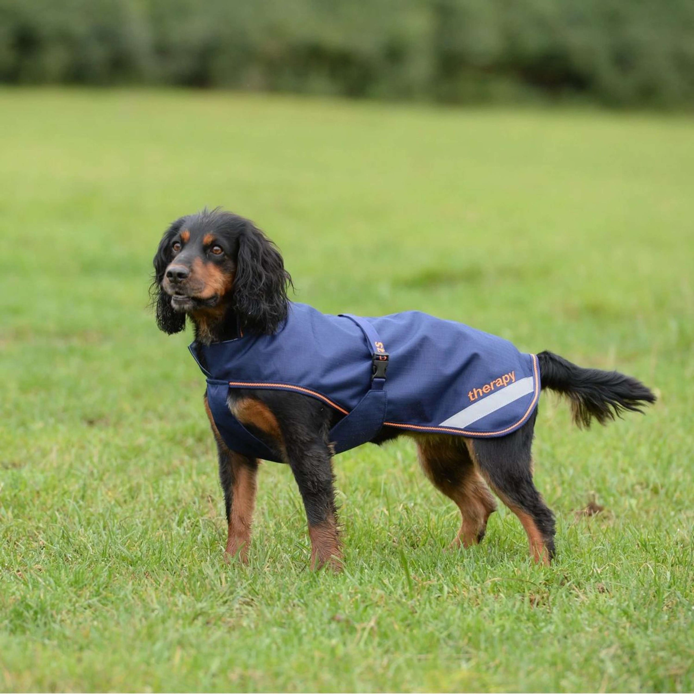 Bucas Therapy Dog Rug Navy/Orange