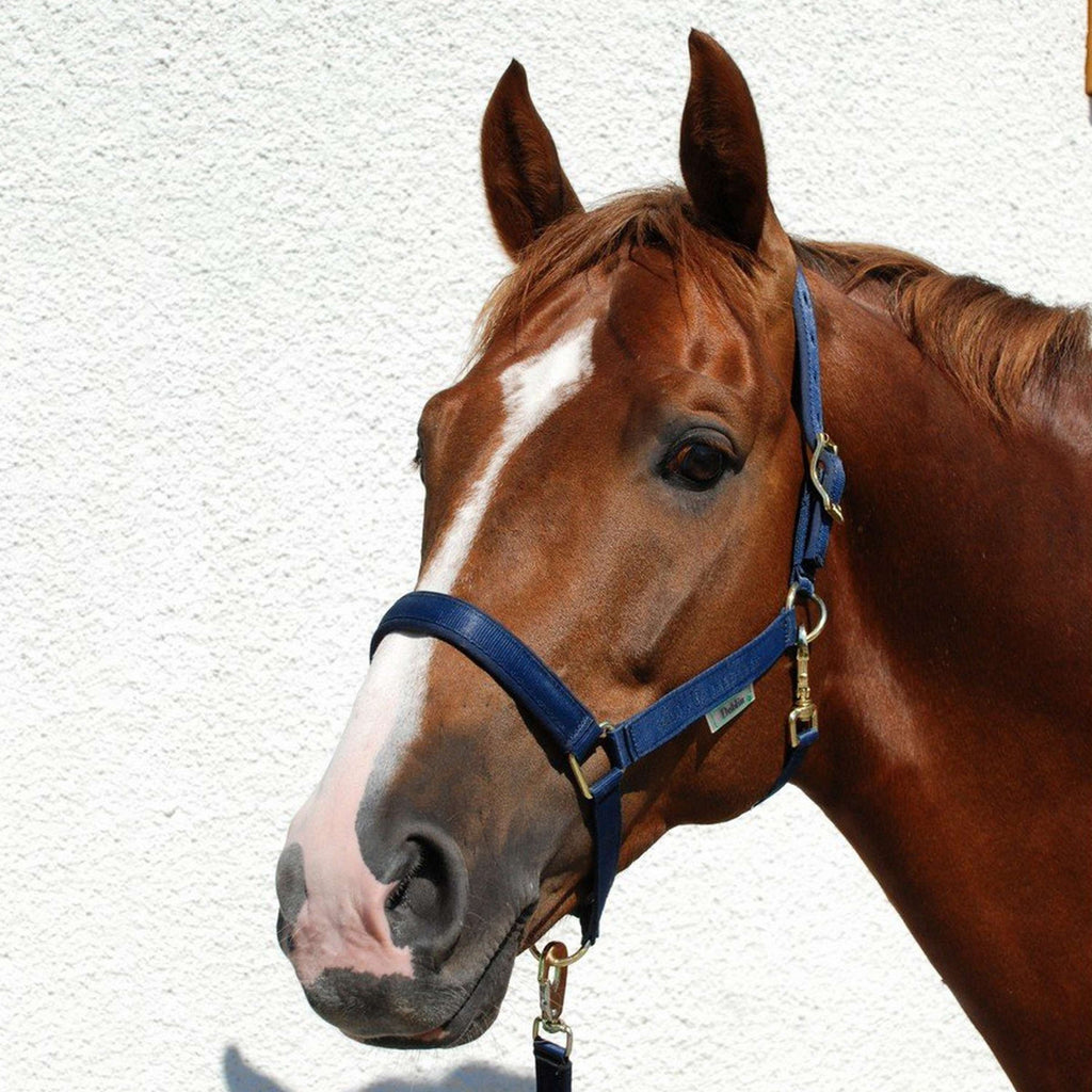 Bucas Halster Dublin Navy