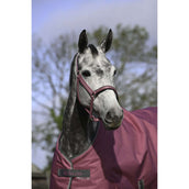 Bucas Halster Dublin Veulen Raspberry