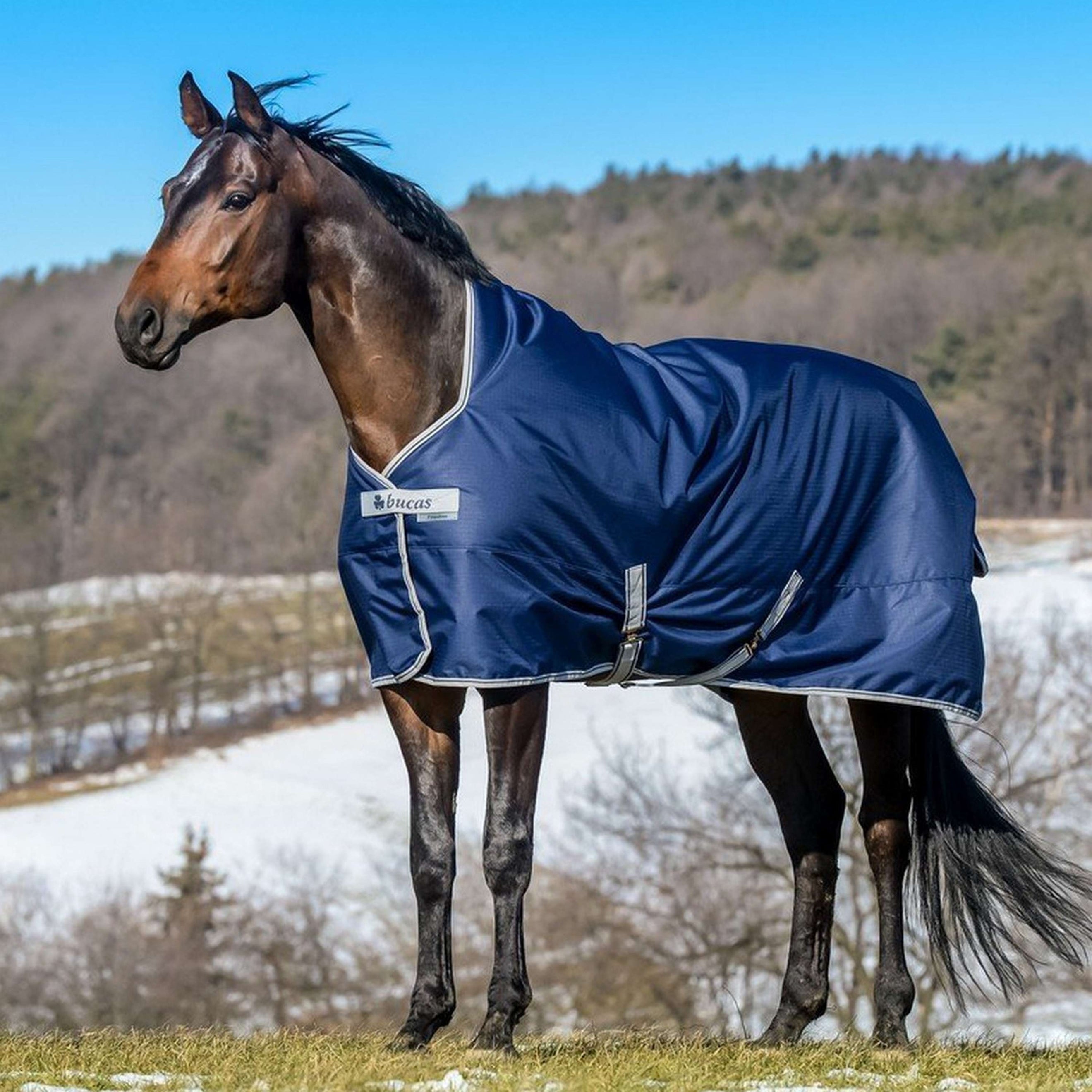 Bucas Freedom Turnout High Neck 0g Navy Bucas Freedom Turnout High Neck 0g Navy