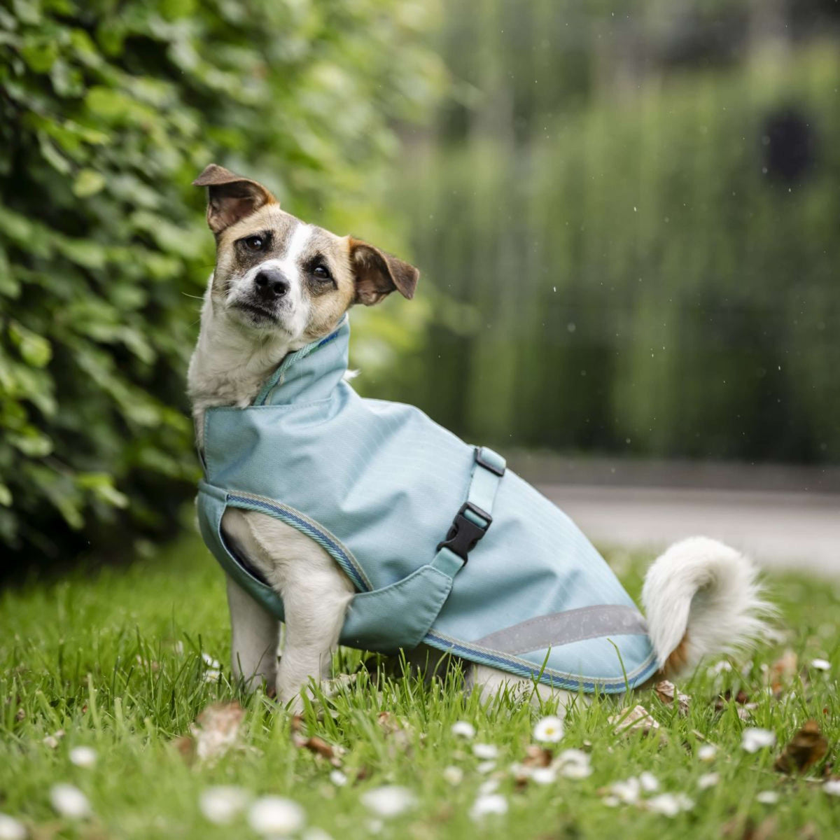 Bucas Freedom Dog Rug Turquoise