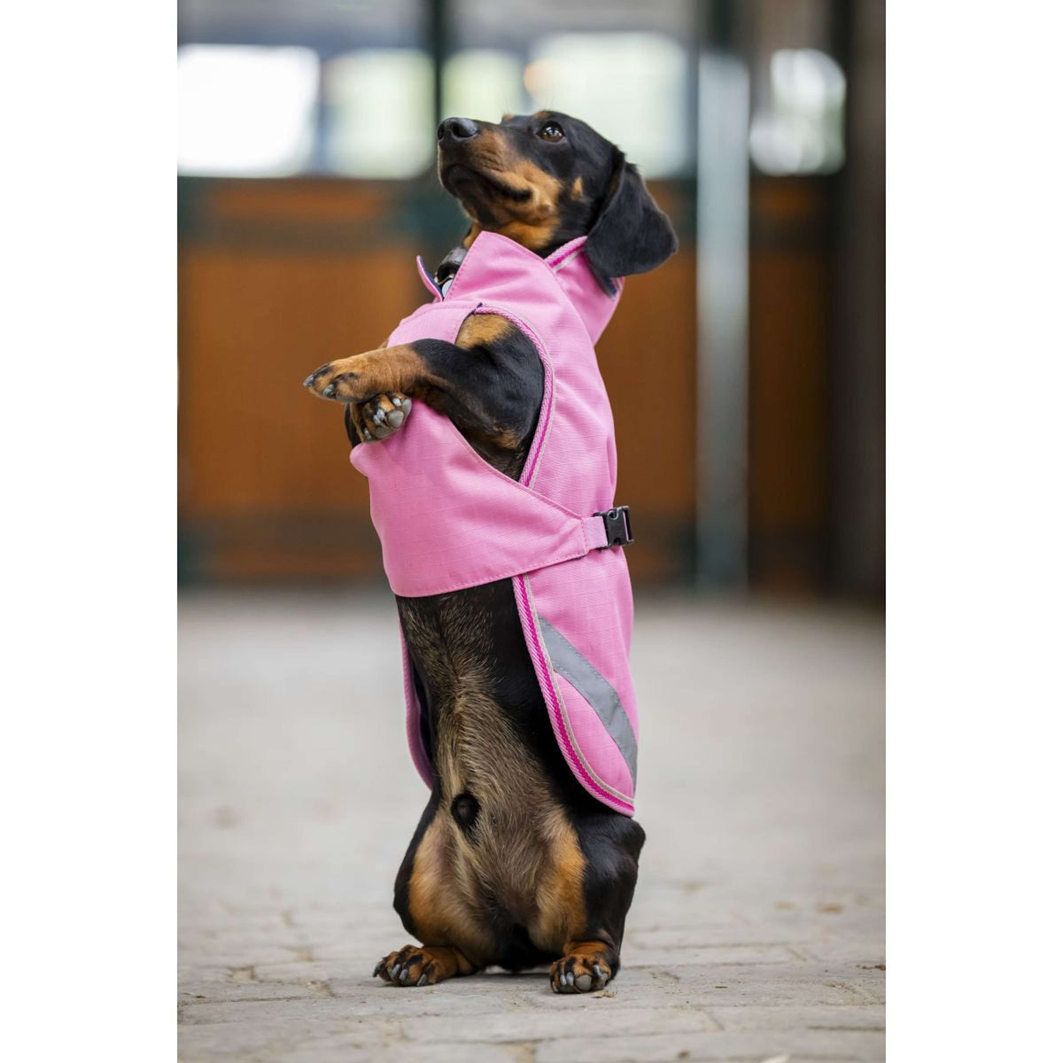 Bucas Freedom Dog Rug Aurora Pink